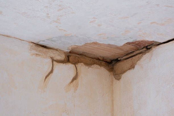 Best Fire Damage Restoration  in East Rockaway, NY