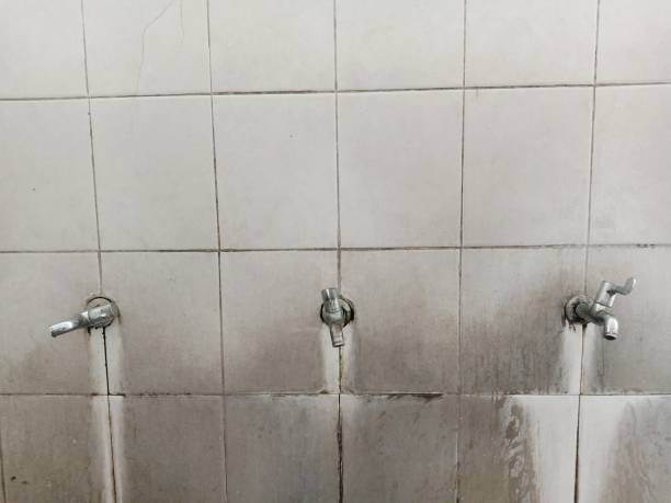 Best Water damage repair service  in East Rockaway, NY